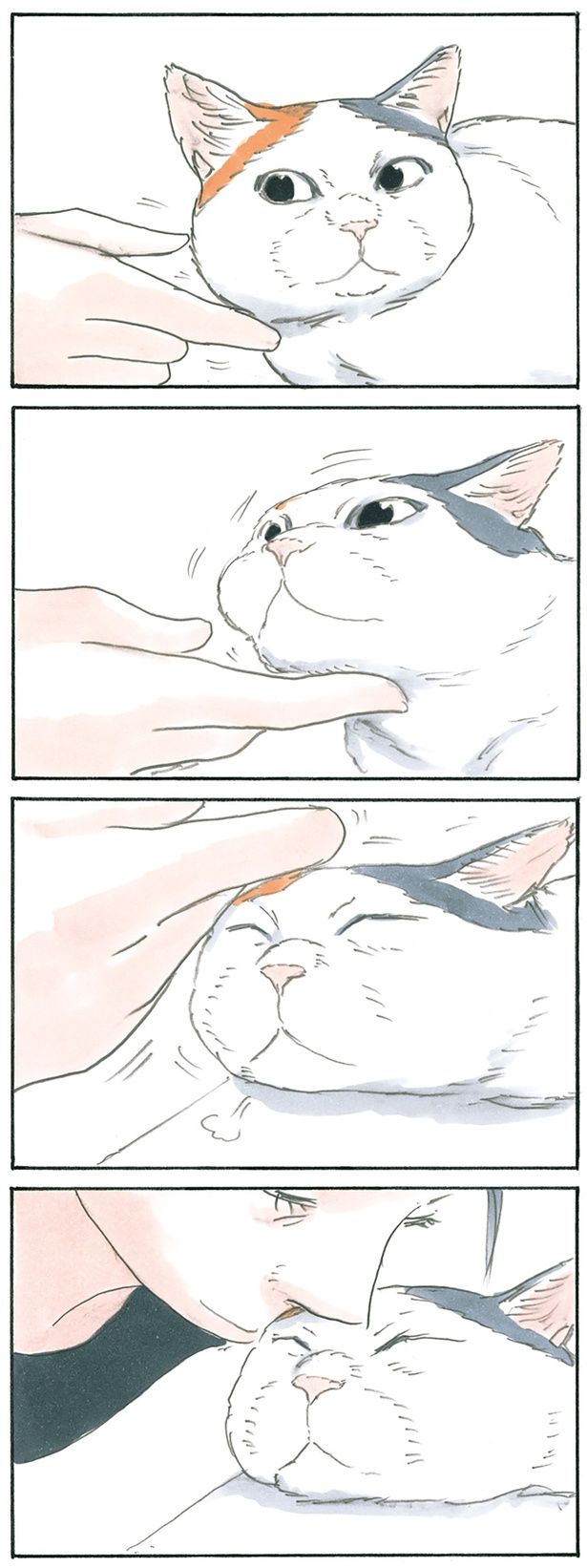 でこチューまでの流れ （C）にごたろ／KADOKAWA