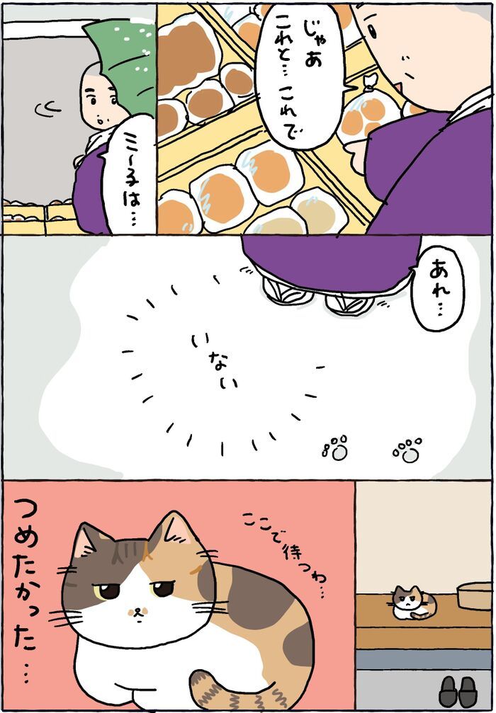 お寺にパン屋さんがやってきた！【てらねこミー子の日常】