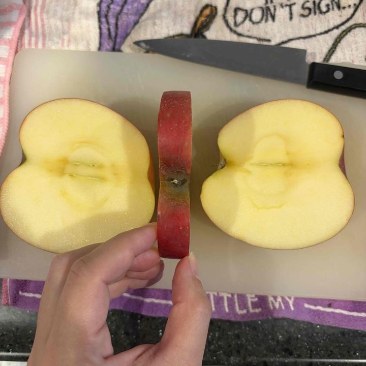 反対も同じように切ったところ