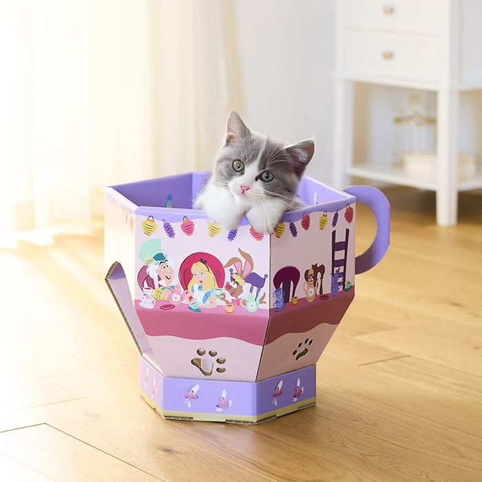 爪とぎに入る猫