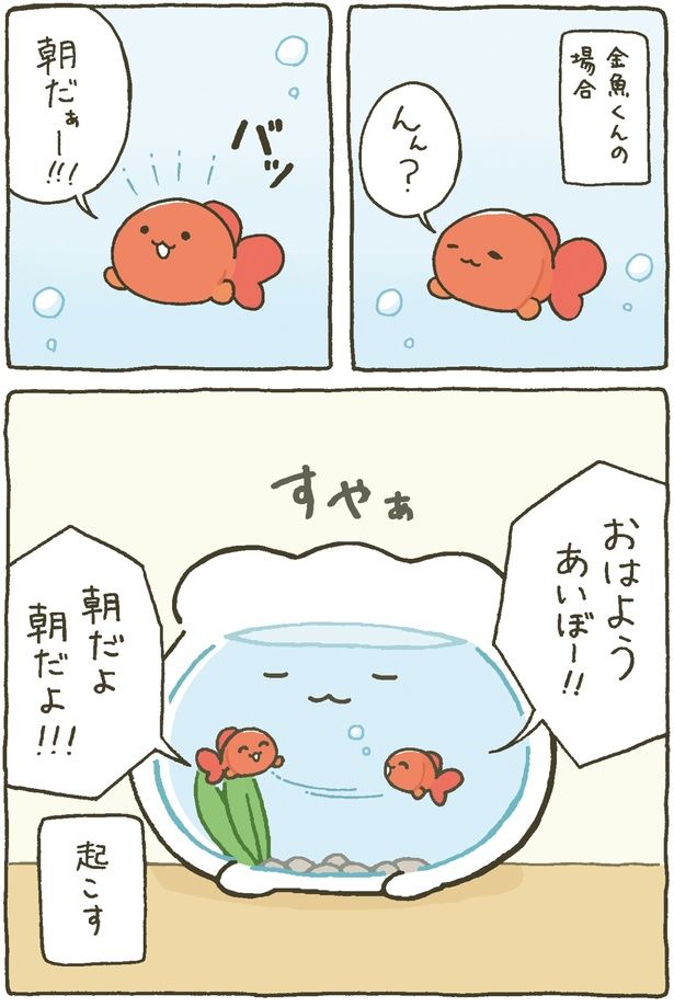 金魚くんの場合 (C)わるるぎ／KADOKAWA
