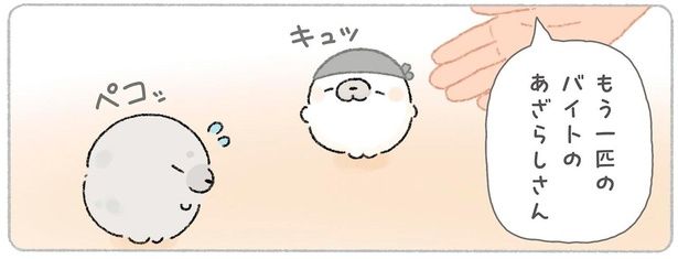 もう一匹のバイトのあざらしさん （C）tapu／KADOKAWA