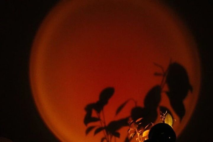 ダイソー サンセットライト 使用例