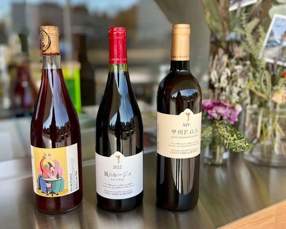 【東京都多摩市】医療的ケア児者と地域が折り重なる施設「modoki」。クラファンで目標金額を達成