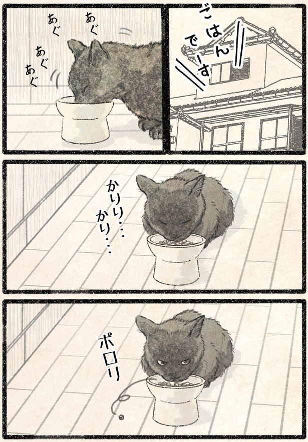 ポロリ （C）うぐいす歌子／KADOKAWA