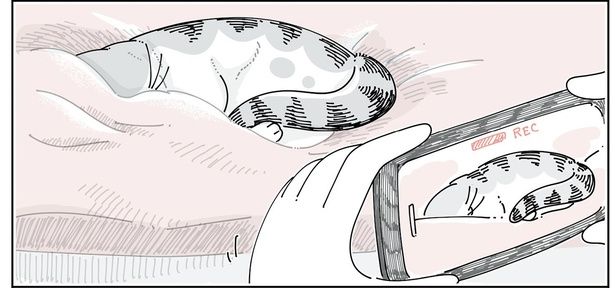 そっと近づいて… （C）キュルZ／KADOKAWA