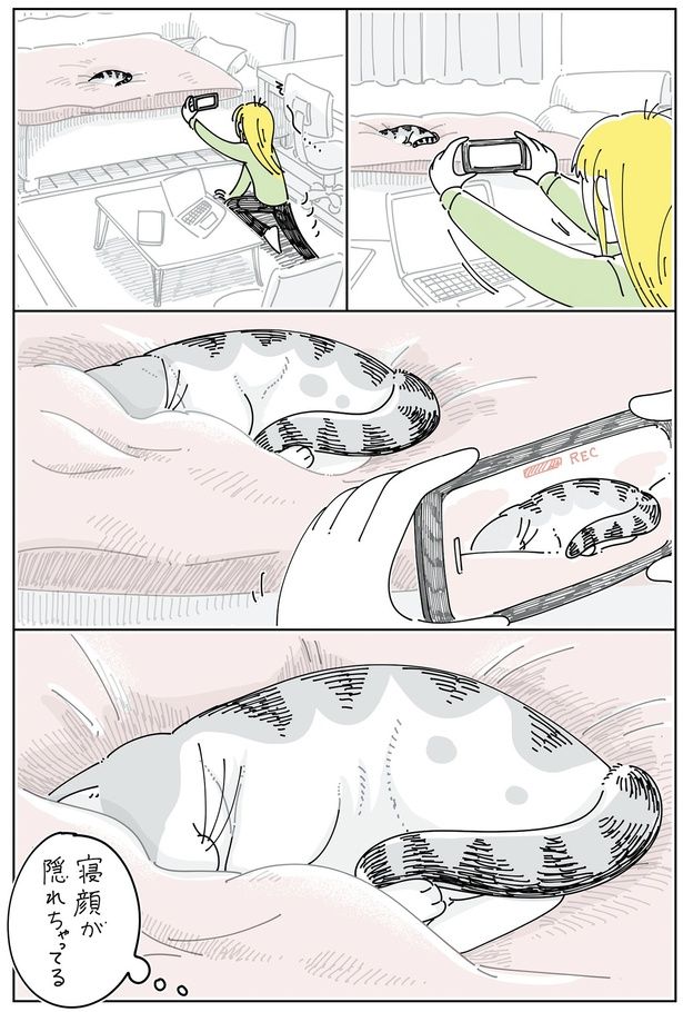 寝顔が隠れちゃってる （C）キュルZ／KADOKAWA