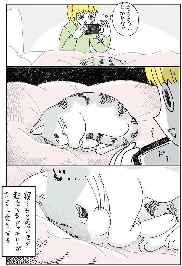 目が合って… （C）キュルZ／KADOKAWA