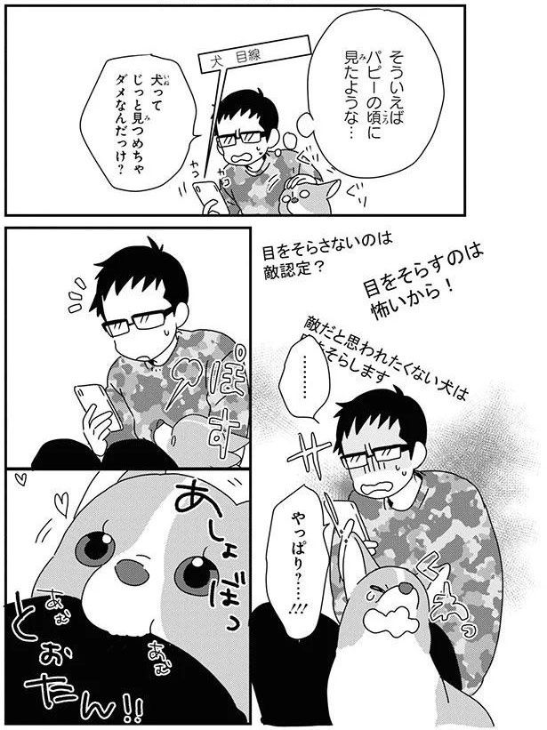 検索「犬 目線」 (C)らくだ／KADOKAWA