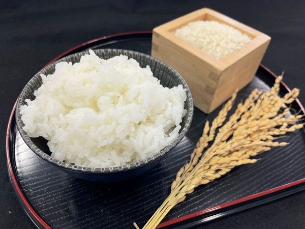 【東京都千代田区】東京駅上空120mの「Dining ＆ Bar TENQOO」で近江の米と鴨を味わう