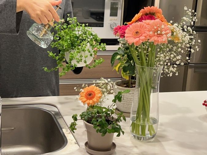 花の水やり こんまり流