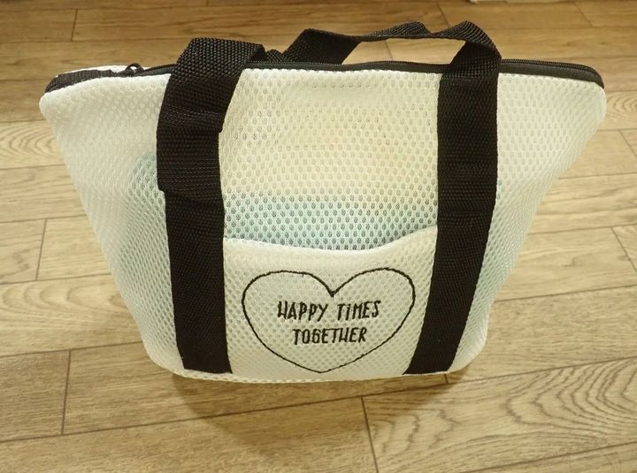 DAISO(ダイソー)：トラベルトートバッグ(ウォッシャブル、30×10×20cm)