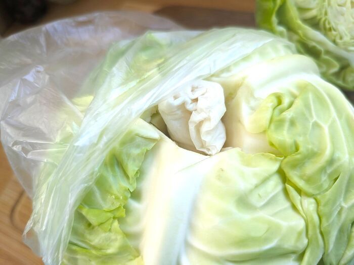 【キャベツの芯】捨てないで。実は甘くておいしい！？上手に食べるコツと驚きの使い道に注目♪