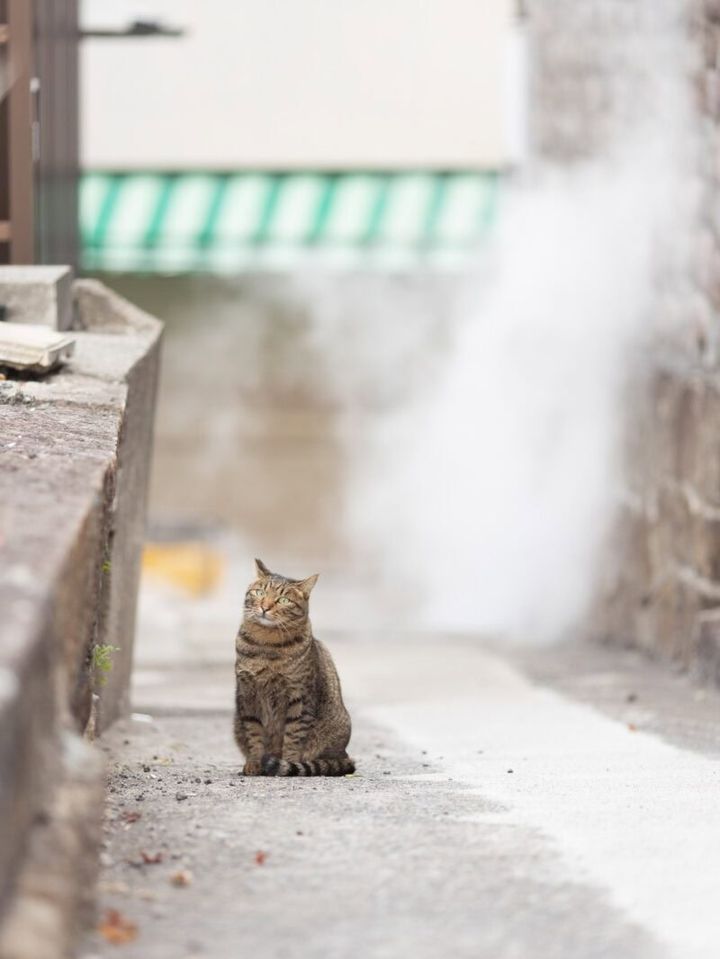 【50代のソロ旅 in大分】