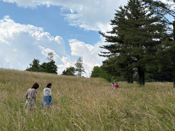 【50代からの「整う」ヨーロッパ便り】