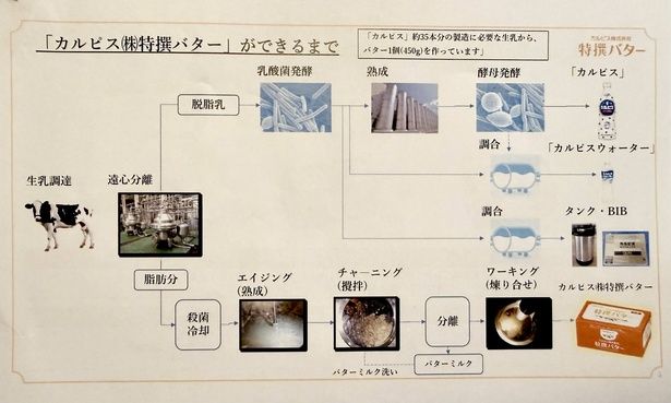 「カルピス」を作る過程から生まれた「カルピス特撰バター」