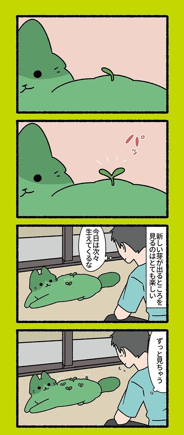 今日は次々生えてくるな （C）ぱんだにあ／竹書房