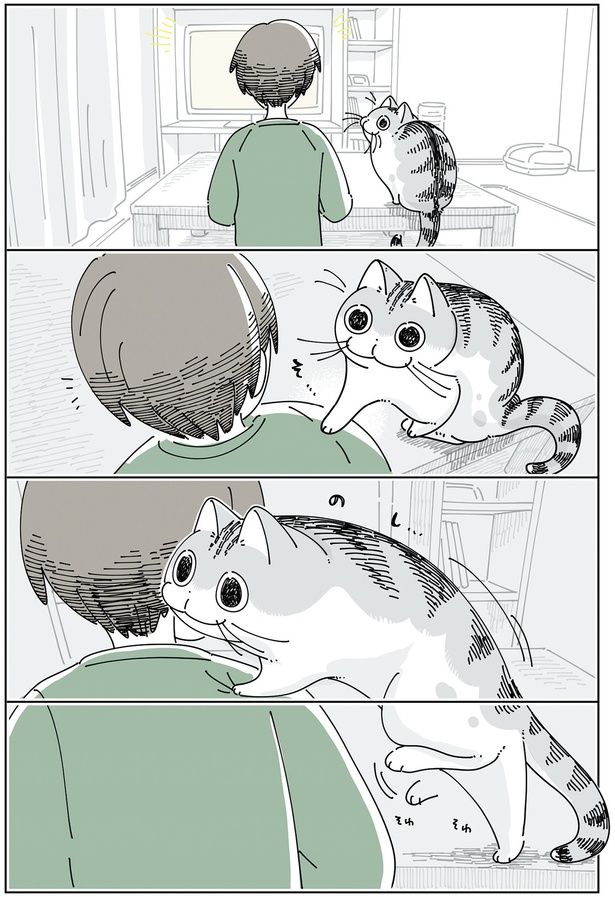 飼い主の肩に （C）キュルZ／KADOKAWA