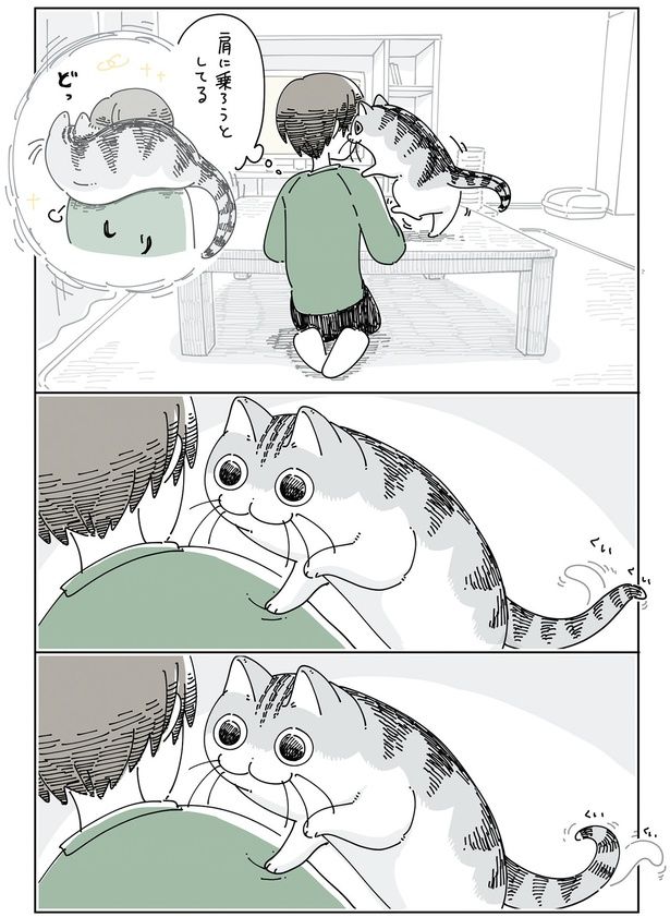 肩に手を置き （C）キュルZ／KADOKAWA