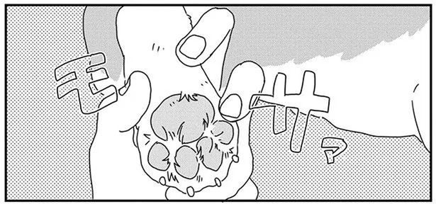 部屋の中ですべってる？ワンコの足裏をチェックしてみると (C)らくだ／KADOKAWA