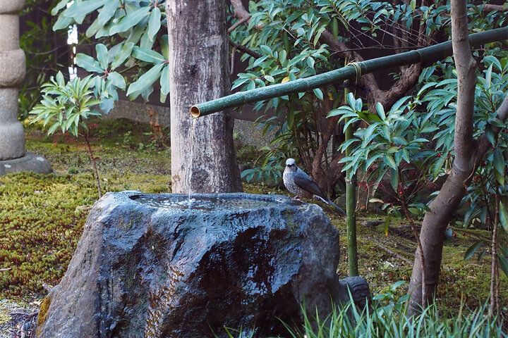 美しい庭園を眺めて、ゆるり名水おやつを。20年の時をかけて築いた明治の文化財でひと休み「名水甘味 且座」