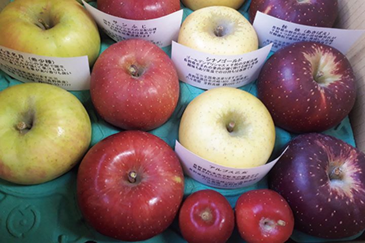 王者は全スポット（常設スポット）制覇の偉業達成！ TT2025結果発表！