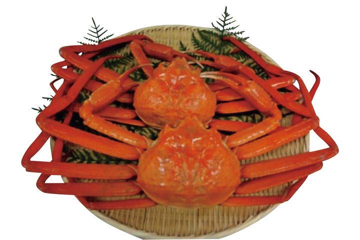 王者は全スポット（常設スポット）制覇の偉業達成！ TT2025結果発表！