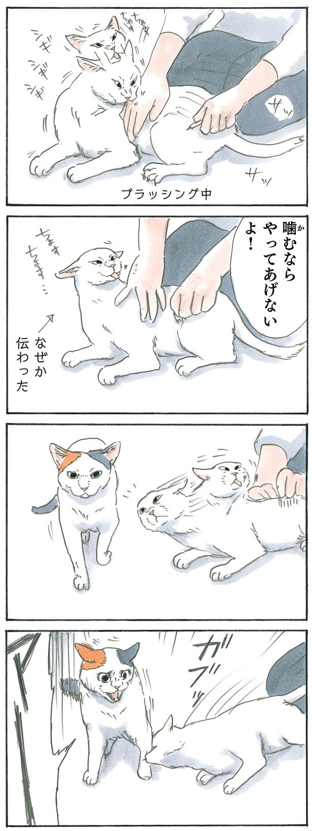 噛むしかなかった （C）にごたろ／KADOKAWA