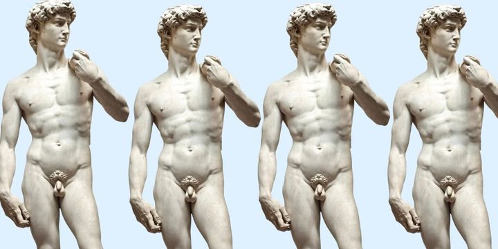 人間のペニスは「ケンカ」より「モテ」重視で巨大化した