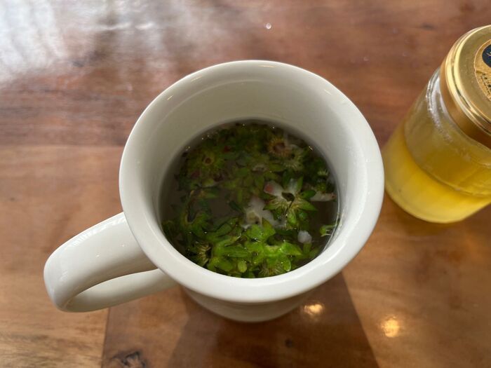 イチゴの『ヘタ』捨てないで。丸ごと食べちゃうのが大正解！？おいしく使い切る方法をチェック♪