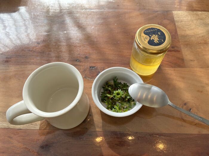 イチゴの『ヘタ』捨てないで。丸ごと食べちゃうのが大正解！？おいしく使い切る方法をチェック♪