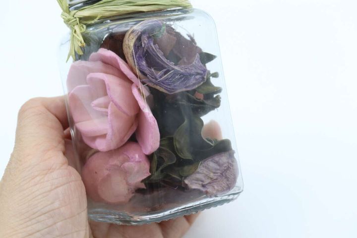 ガラスポプリ（ラベンダー） 植物