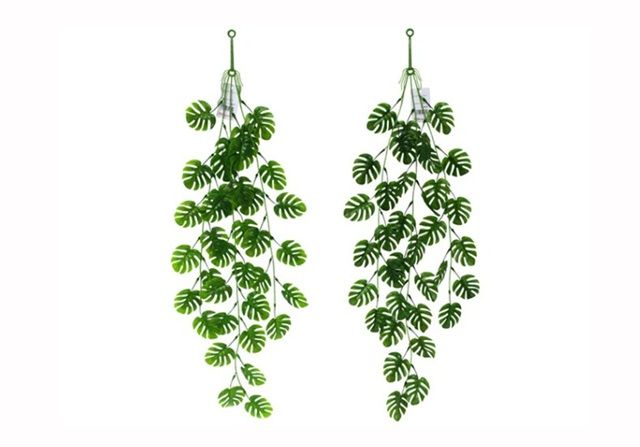 ダイソー モンステラリーフバイン