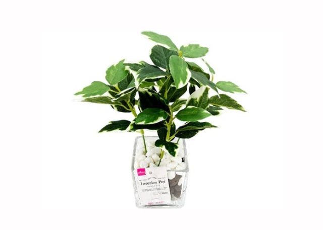 ダイソー インテリアポット