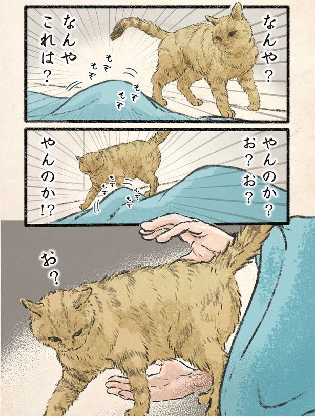 やんのか？お？お？ （C）うぐいす歌子／KADOKAWA