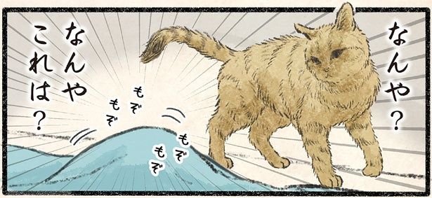 なんや？なんやこれは？ （C）うぐいす歌子／KADOKAWA