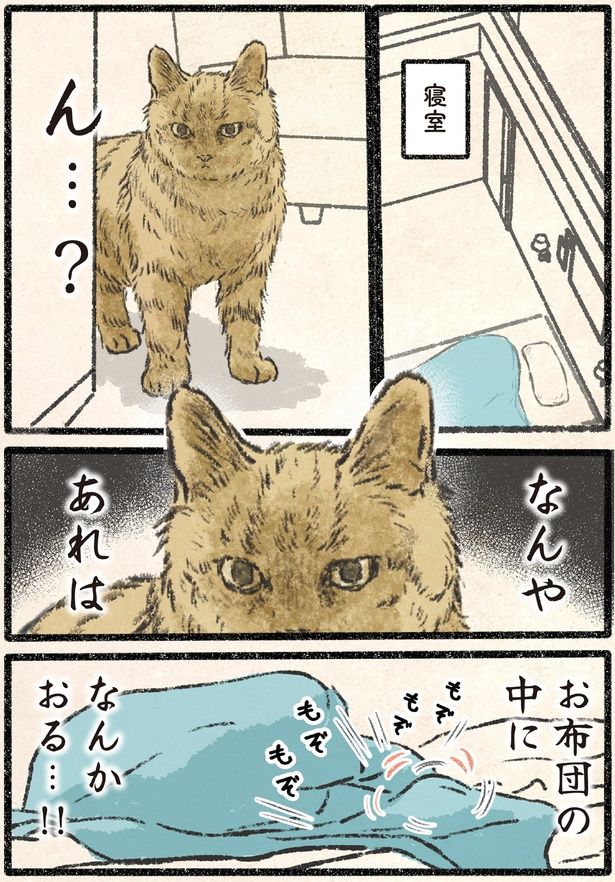 お布団の中になんかおる…！！ （C）うぐいす歌子／KADOKAWA