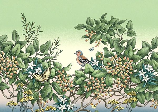 【東京都世田谷区・豊島区】「MAX PISTACHIO」からピスタチオバターサンドなどの新商品が登場！期間限定出店も