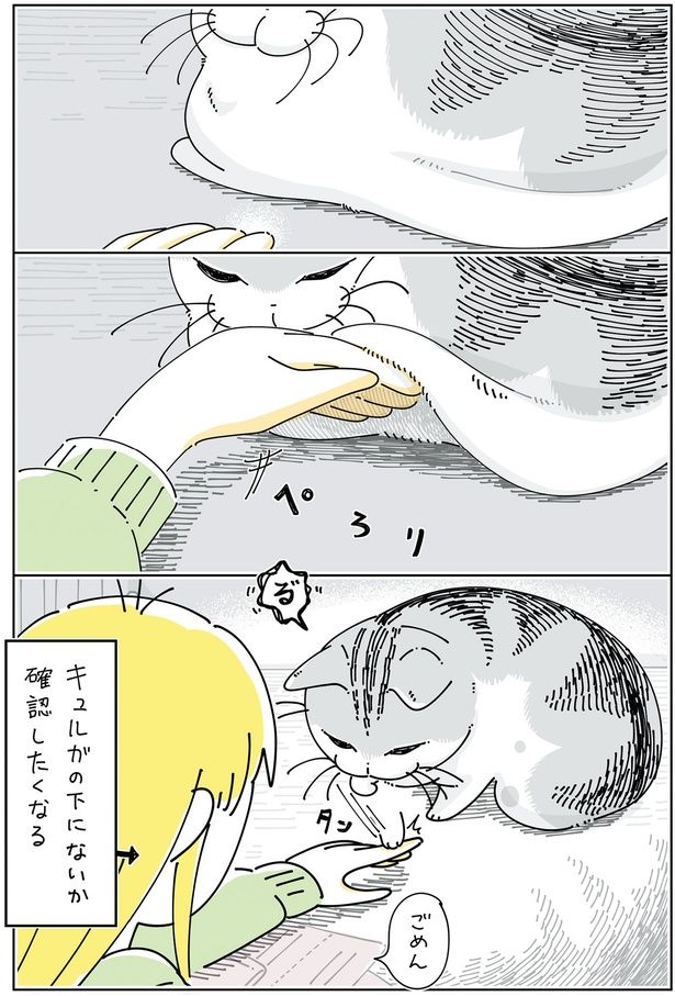 お腹の下には （C）キュルZ／KADOKAWA