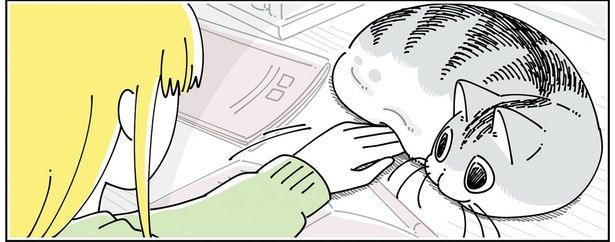 手を差し込んでみると… （C）キュルZ／KADOKAWA