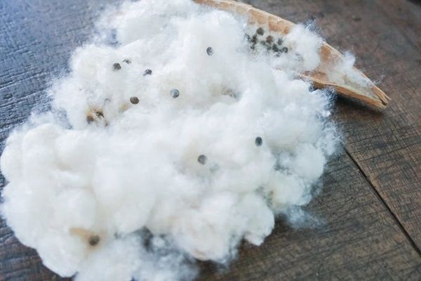 デザイナーズブランド「furuta」×内閣府認定団体「nuc」の高機能ウェアが誕生！