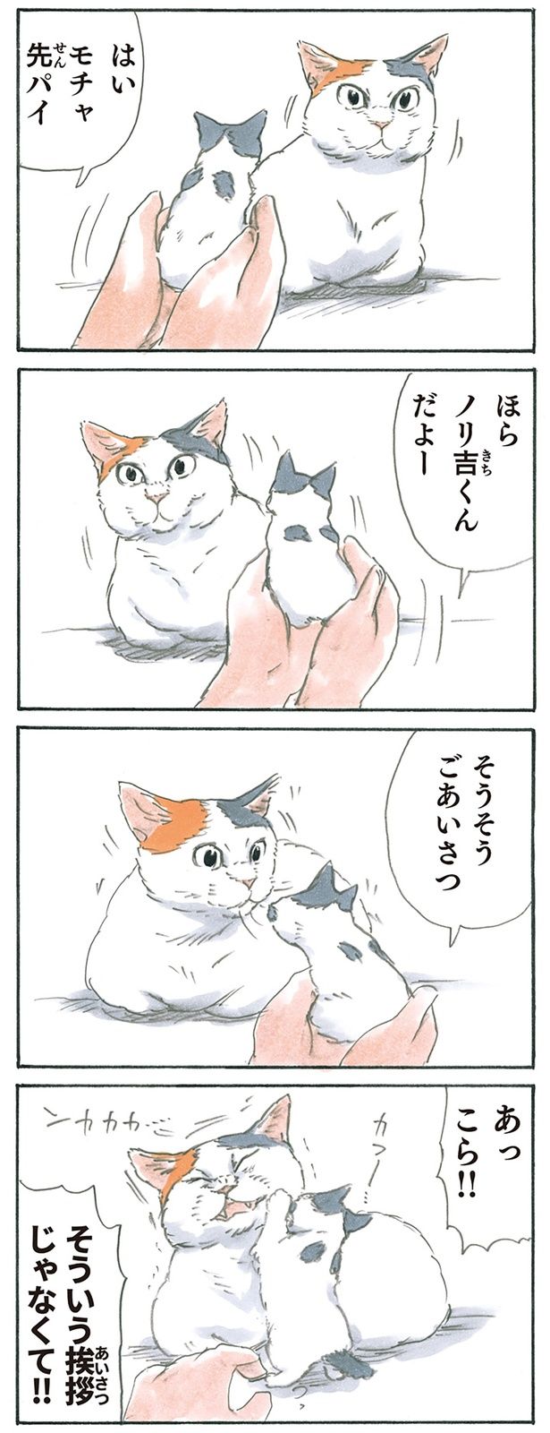 ごあいさつ （C）にごたろ／KADOKAWA