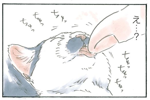 かわいい仕草 （C）にごたろ／KADOKAWA