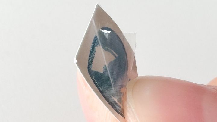 タトゥーシールは100均で売ってる？【セリア・ダイソー】使い方も解説