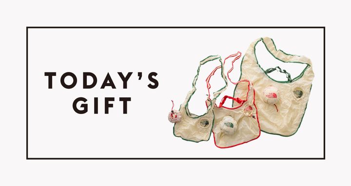 〈THE NORTH FACE〉のパッカブルショルダー