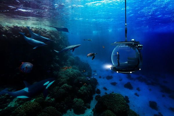 40歳で余命宣告を受けた、起業家・米澤徹哉の生還と事業再開を目指すプロジェクト始動