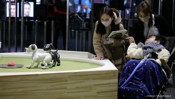 ミュージアムと障害のある人をつなぐ“中間支援”を紐解くオンラインイベント開催