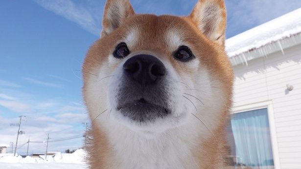 晴れている日は気持ちがよさそう！