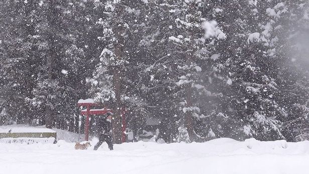 吹雪の中、男2人で散歩