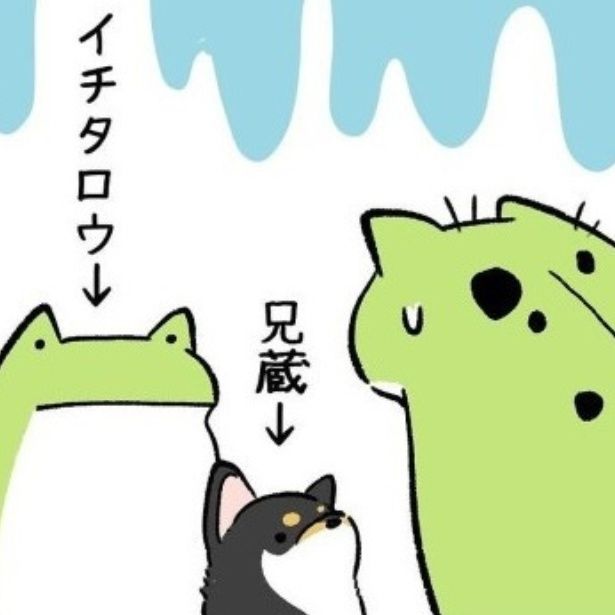 子供の前とペットの名前わりと間違えがち ユウコトリトリ(@yuko_toritori)